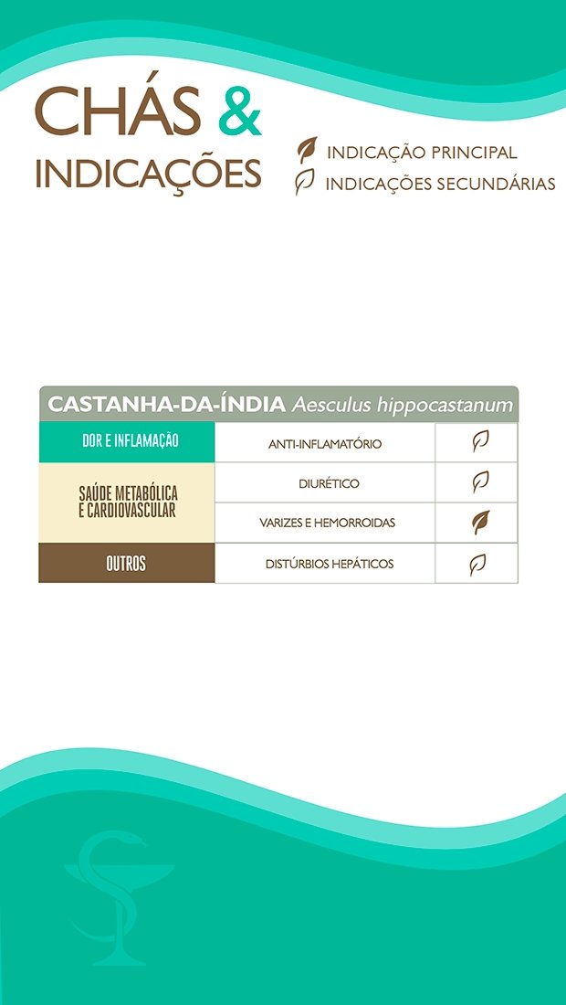 CASTANHA-DA-ÍNDIA